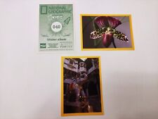 Figurine national geographic usato  Italia