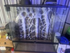 tall vivarium glass for sale tall vivarium glass for sale HYDE