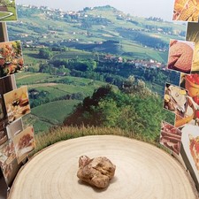 Tartufo bianco alba usato  Bra
