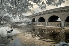 Nikon d90 full for sale  SHOREHAM-BY-SEA