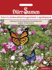 Blumenmischung schmetterlingsw gebraucht kaufen  Pulheim