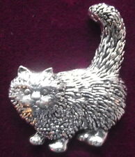 Quality evil moggie for sale  CASTLE DOUGLAS