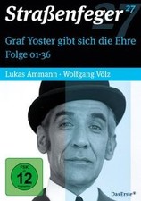 Straßenfeger graf yoster gebraucht kaufen  Berlin