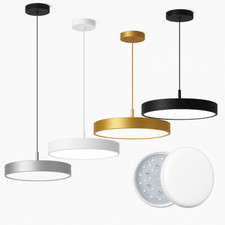 Lampadario sospensione cerchio usato  Bisignano