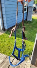 Adult horse breakaway for sale  Salem