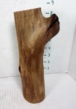 Driftwood aquarium taxidermy for sale  Brookwood