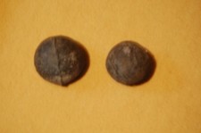 Kanonenkugeln blei alter gebraucht kaufen Kanonenkugeln blei alter gebraucht kaufen  Söhlde