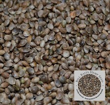 Hemp seed 1kg for sale  NORWICH