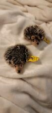 steiff hedgehog for sale  Mckinney