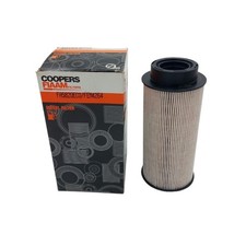 Filtro carburante per usato  Italia