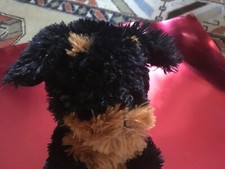 Rottweiler puppy stuff for sale  Brentwood