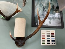 David hunt antler for sale David hunt antler for sale  MELTON MOWBRAY