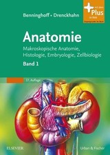 Benninghoff drenckhahn anatomi gebraucht kaufen  Köln