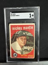 1959 mickey mantle for sale  Ashland