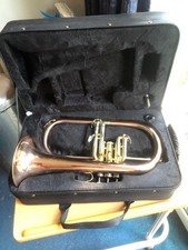 Elkhart flugelhorn vincent usato  Spedire a Italy