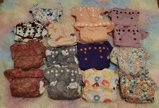 Smart bottoms born for sale  Kingsport