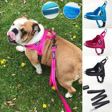 Dog harness medium for sale  UK