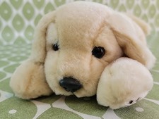 Years andrex puppy for sale  KING'S LYNN