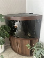 Juwel aquarium trigon gebraucht kaufen  Gelsenkirchen