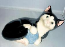 Lovely cute cats for sale  BRISTOL