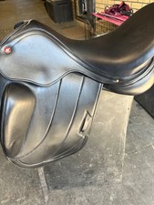 Albion fabrento dressage for sale  SWINDON