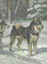 Siberian husky custom for sale  Tampa