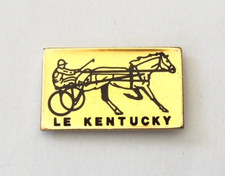 Pin kentucky usa d'occasion  Melesse
