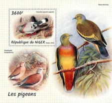 Pigeons pigeon birds d'occasion  Expédié en Belgium