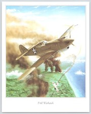 Curtiss warhawk fighter for sale  Torrance