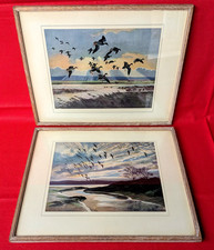 Pair peter scott for sale  CHESTER