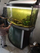 Aquarium meuble 180 d'occasion  Montauban