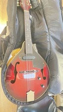 Electric acoustic mandolin for sale  GOOLE