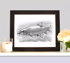 Barbel underwater fish for sale  HEMEL HEMPSTEAD