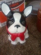 French bulldog boston for sale  Klamath Falls