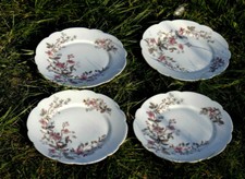 Belles assiettes anciennes d'occasion  La Bégude-de-Mazenc