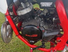 Beta rr50 stage gebraucht kaufen  Brilon