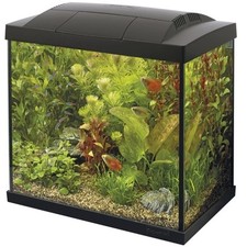 Superfish start tropical for sale  SUTTON