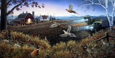Mark daehlin evening for sale  Annandale