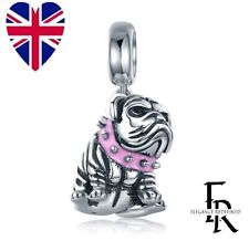 Cute british bulldog for sale  CHATHAM