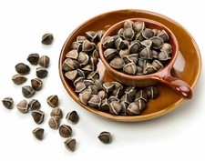Sementes orgânicas de Moringa Oleifera sementes frescas de moringa sem asas 100g comprar usado  Enviando para Brazil