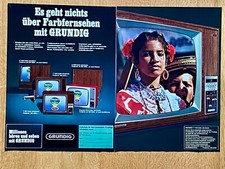Grundig farbfernseher fernsehe gebraucht kaufen  Aßlar