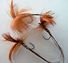 Mouches mai brown d'occasion  Quetigny
