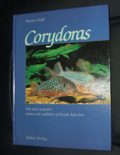Corydoras popular armoured for sale  IPSWICH