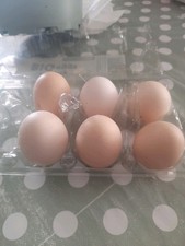 Polystyrene egg box for sale  LLANELLI
