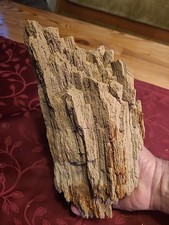 Versteinertes holz bayern gebraucht kaufen  Bockenem
