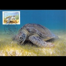 Tortue verte oblit d'occasion  Crécy-la-Chapelle