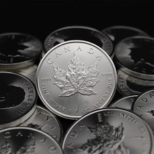 Maple leaf 2025 gebraucht kaufen  Deutschland