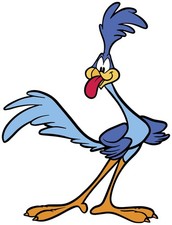 Roadrunner meep meep for sale  Cass City