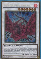 Dragon rose noire d'occasion  Boé