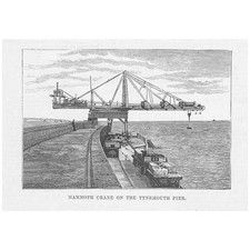 Newcastle mammoth crane for sale  GLASGOW